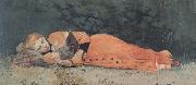 Winslow Homer The New Novel (mk44) Spain oil painting artist
